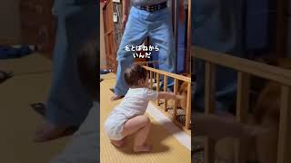 👴🏼👶🏻🐕赤ちゃん雑種犬ひ孫田舎暮らし日常をtikる