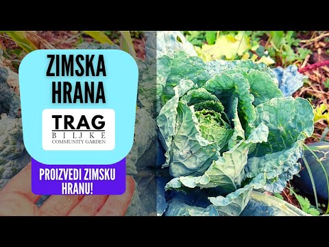 PRODUCE WINTER FOOD - WHAT DO WE PLANT FOR WINTER FOOD? (2022) [TRACE OF THE PLANT]