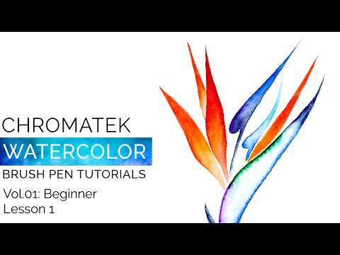 Watercolor Brush Pen Tutorials by Chromatek, Beginner Vol.01 Lesson 01