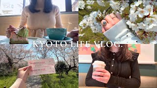 Kyoto vlog｜京都に住む女の日常💛｜春服で桜を楽しむ🌸｜半年ぶりの美容院💇‍♀️｜深夜の抹茶スコーン作り🍪｜スタバ｜京都カフェ,piu cafe