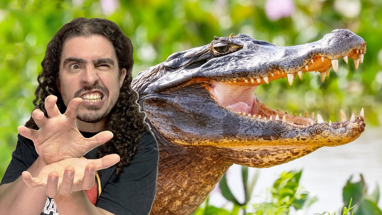 A História da Evolução dos CROCODYLIA (aligátores e jacarés) (#Pirula 352.1)