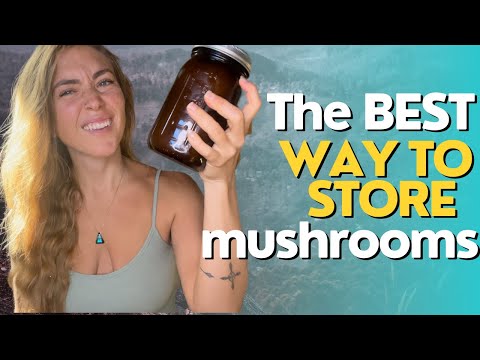 The BEST Way To Store Mushrooms (and how you’re storing them wrong)