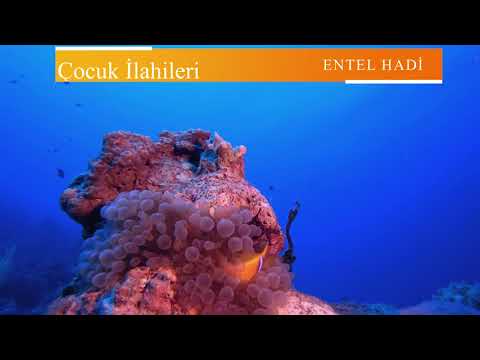 ENTEL HADİ - Çocuk İlahileri