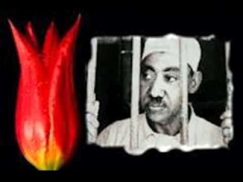 jakup hasipi. libri shenjat ne rrug i shkruatur nga dijetari islam said kutub