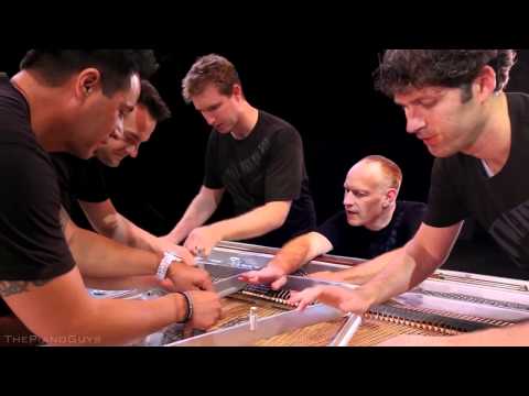 One Direction   What Makes You Beautiful 5 Piano Guys, 1 piano   ThePianoGuys