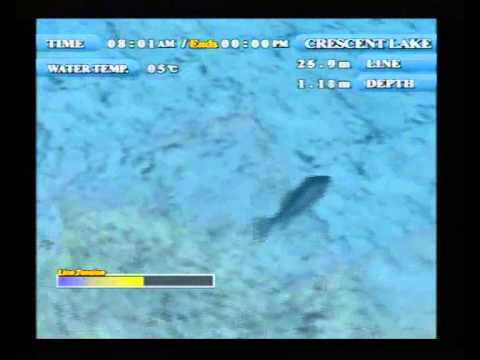 Lake Masters EX Playstation 2