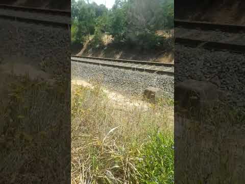 #australia #traveling #victoria #bike #camper #toyota #hiace #camping