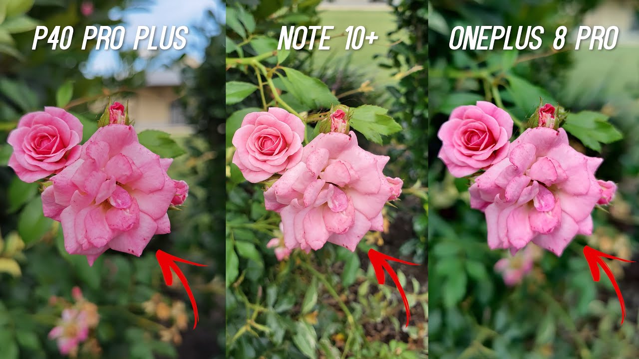 Huawei P40 Pro Plus vs OnePlus 8 Pro vs Galaxy Note 10 Plus Camera Test (After Updates)