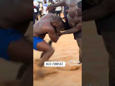 Modou Lo vs Ibou Ndiaye Obeuli