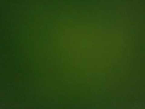 Road Rash "game history"