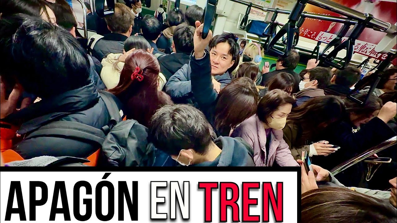 Anatomía de un colapso energético en Japón