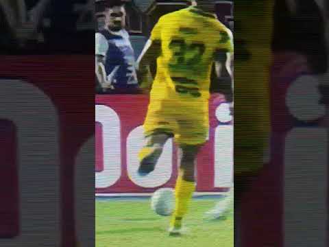 LUCIANO #futebol #flamengo #remo #saopaulo #palmeiras #paysandu #gremio #santos #nautico #brusquesc
