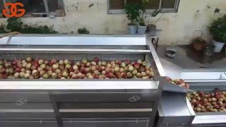 commercial fruit and vegetable washing machine|fruit and vegetable cleaning  machine