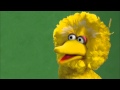 Big Changes Sesame Street Here For Each Other