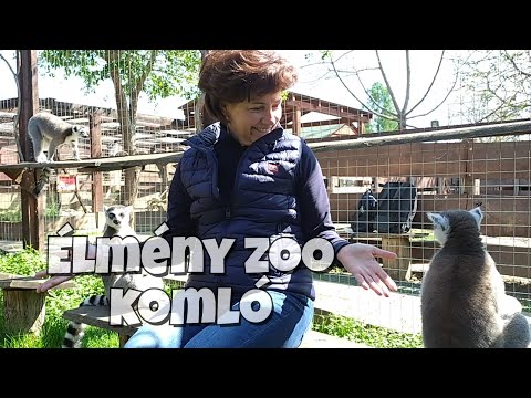 Mini Zoo Komló, valóra vált álmok 2025 május