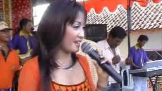 Download lagu Langlang Buana Nunung Alvi mp3