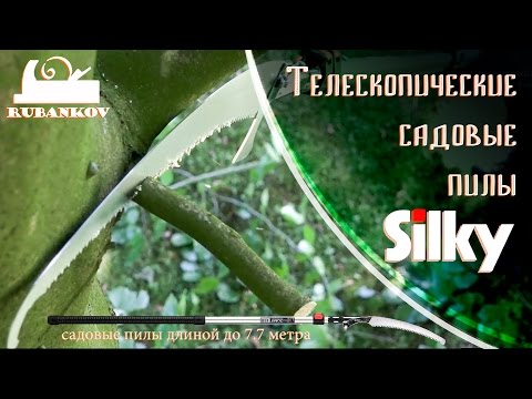 youtube video youtube video