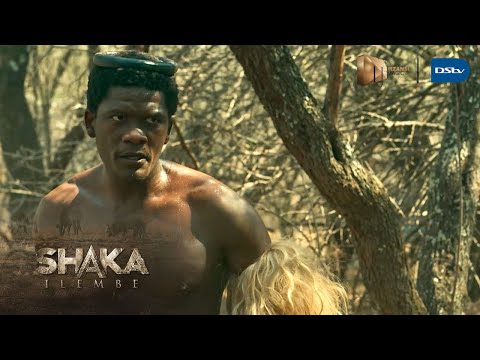 Battles continue – Shaka iLembe | S2 | Mzansi Magic