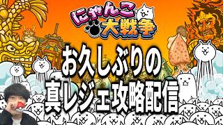 【にゃんこ大戦争】お久しぶりの真レジェ攻略y配信【なかごえ大配信】