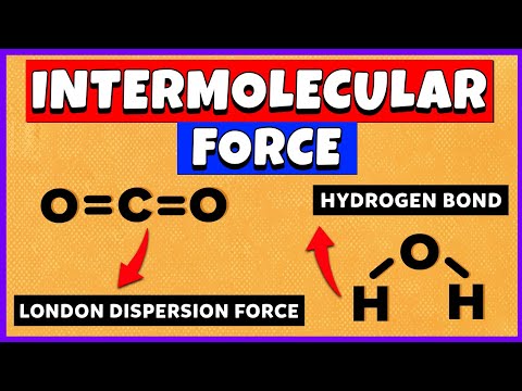 How to identify intermolecular forces?