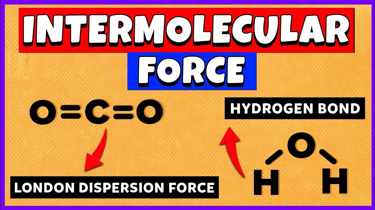 How to identify intermolecular forces?