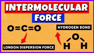 How to identify intermolecular forces?