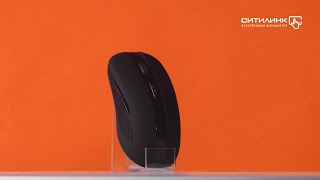 Мышь Oklick 975GW SWAMP, беспроводная, USB, черный - купить в Ситилинк ...