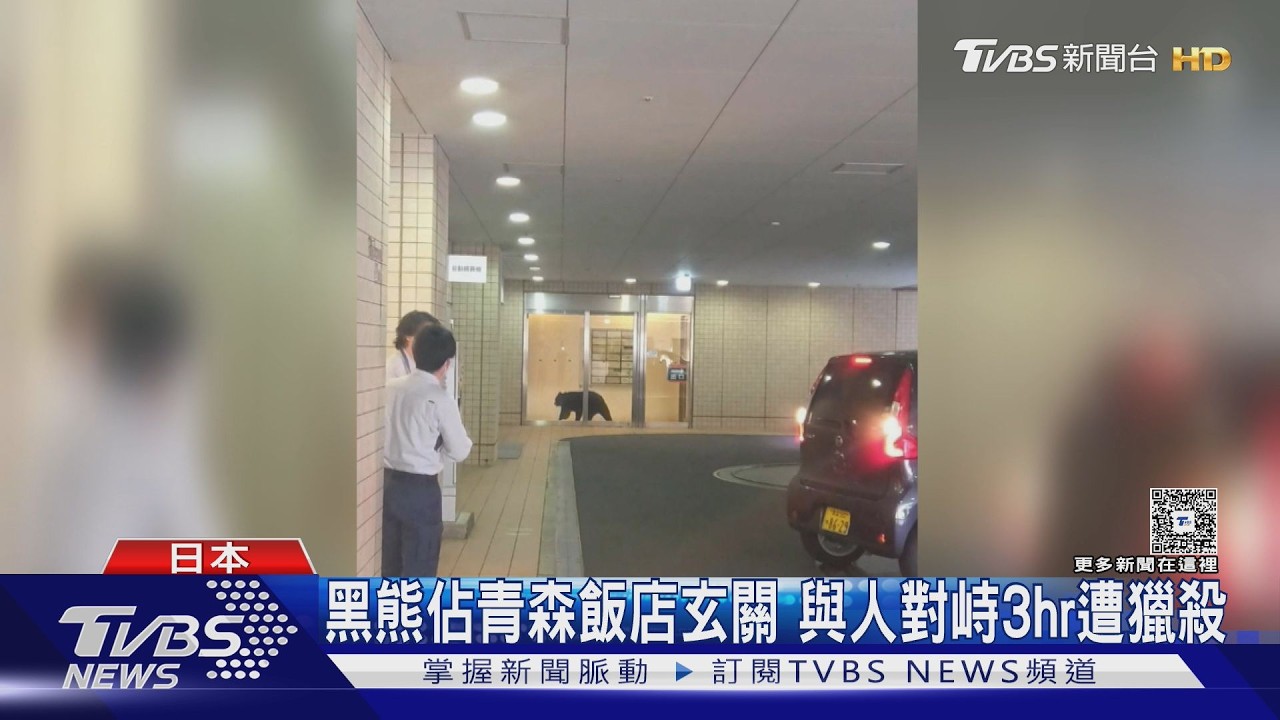 影音/日本「熊害」又來! 100kg熊佔飯店玄關 與人對峙3hr遭獵殺