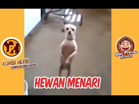 kombi-heppiii-hewan-menari-1