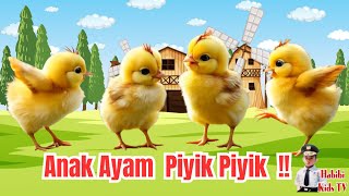 Download lagu Lagu Anak populer❗ LAGU ANAK AYAM PIYIK PIYIK❗ LAGU MAZAYA❗  Lirik Lagu Anak Indonesia❗ mp3