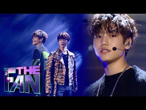 download lagu mp3 mp4 Boa Fan, download lagu Boa Fan gratis, unduh video klip Boa Fan