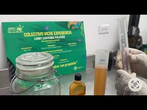 Colectivo Viche Experiencia 📍Quibdó - Chocó