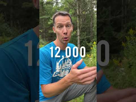 50 Amp RV Power Issues | Watchdog Surge Protector EPO