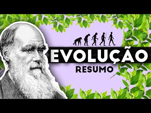 THEORY OF EVOLUTION - SUMMARY OF WHAT YOU NEED TO KNOW!