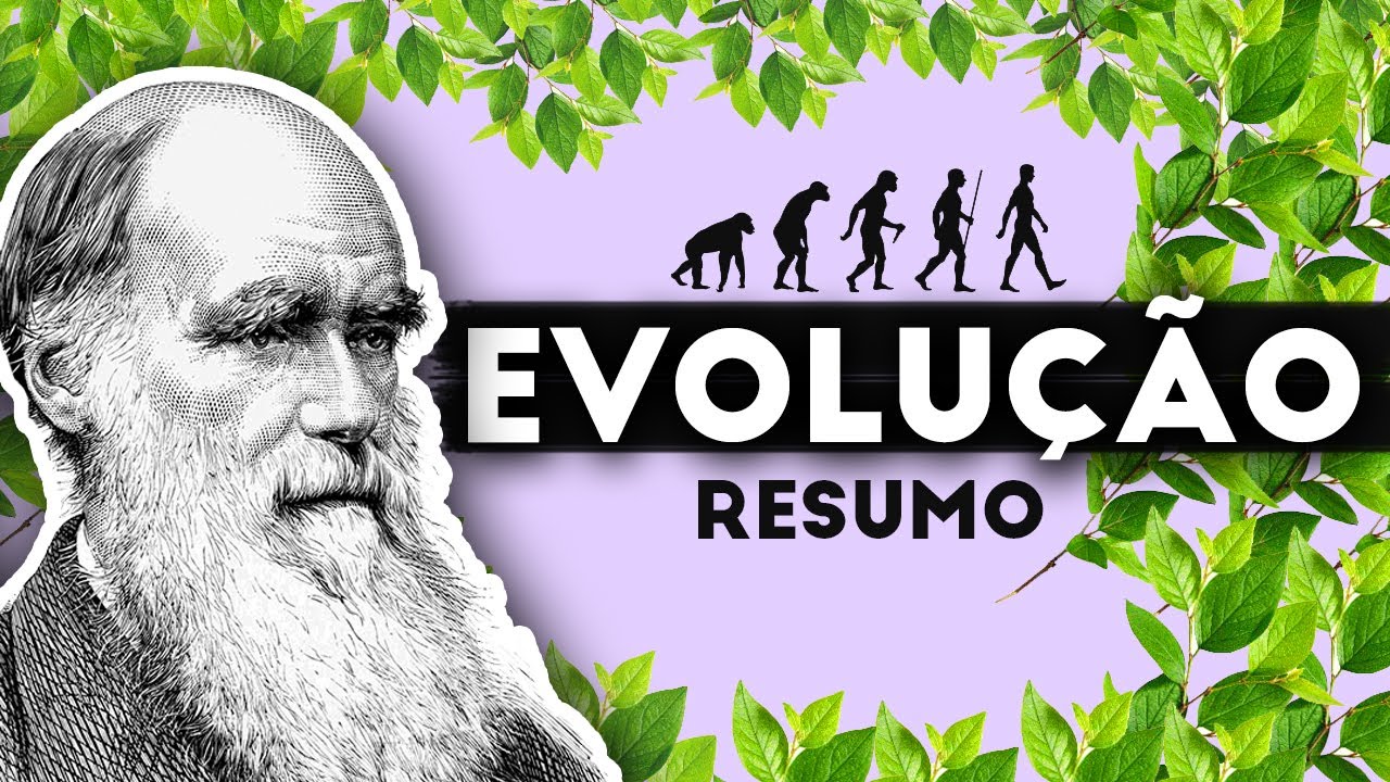 TEORIA DA EVOLUÇÃO - RESUMO DO QUE VOCÊ PRECISA SABER!