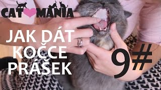 Jak dát kočce prášek? // CAT-MANIA #9