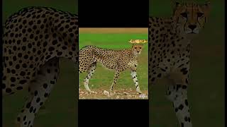 Download lagu _moneylove(720P_HD) mp3