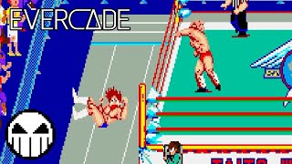 Mania Challenge (Evercade - Technos Arcade 1) (v2.0.2) Gameplay