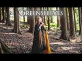 Greensleeves Tin Whistle Version By Leyna Robinson Stone