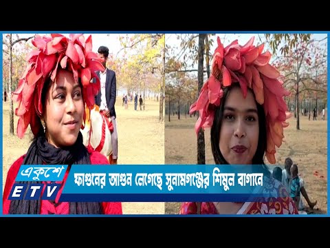 ফাগুনের আগুন লেগেছে সুনামগঞ্জের শিমুল বাগানে | ETV News