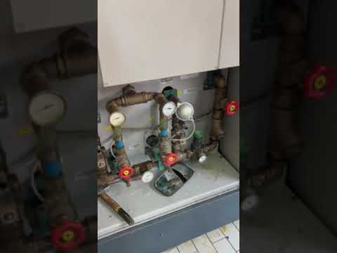 KRUPP Blomax 6 P250119003