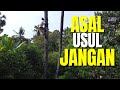 Asal Usul Cita Rasa Masakan Jawa Kenapa Cenderung Manis