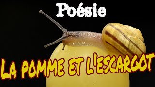 Poésie 🍏🐌 La pomme et l'escargot de Charles Vildrac 🍎🐌