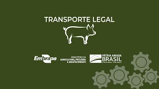 Miniatura do vídeo
