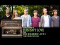 The Birdsongs - This Isn't Love (Album Stream ...