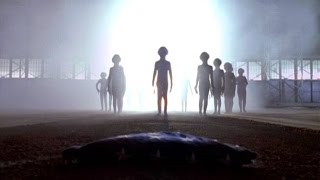 3 TRUE SCARY Greys Alien Encounter Stories