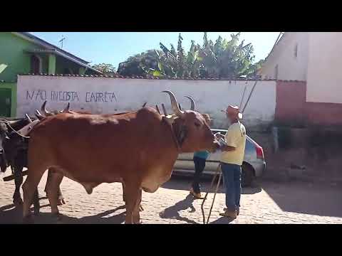 festa do produtor rural de desterro de entre Rios mostrados desfile de carro de boi para vcs