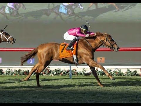 Matriarch Stakes (G1)  2019