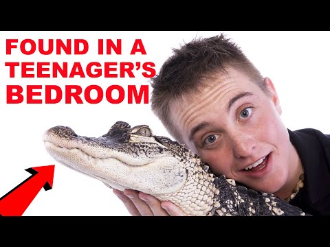 How I Ended Up With Two Pet Alligators!