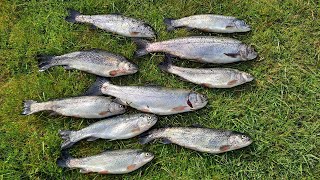 Lake Wildernessで今年初のニジマス釣り